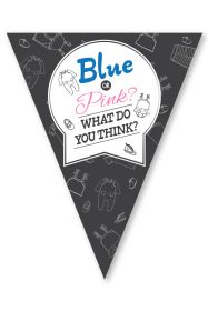 Vlaggenlijn pe Gender Reveal 10 meter