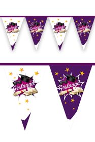 Vlaggenlijn Geslaagd 6 mtr