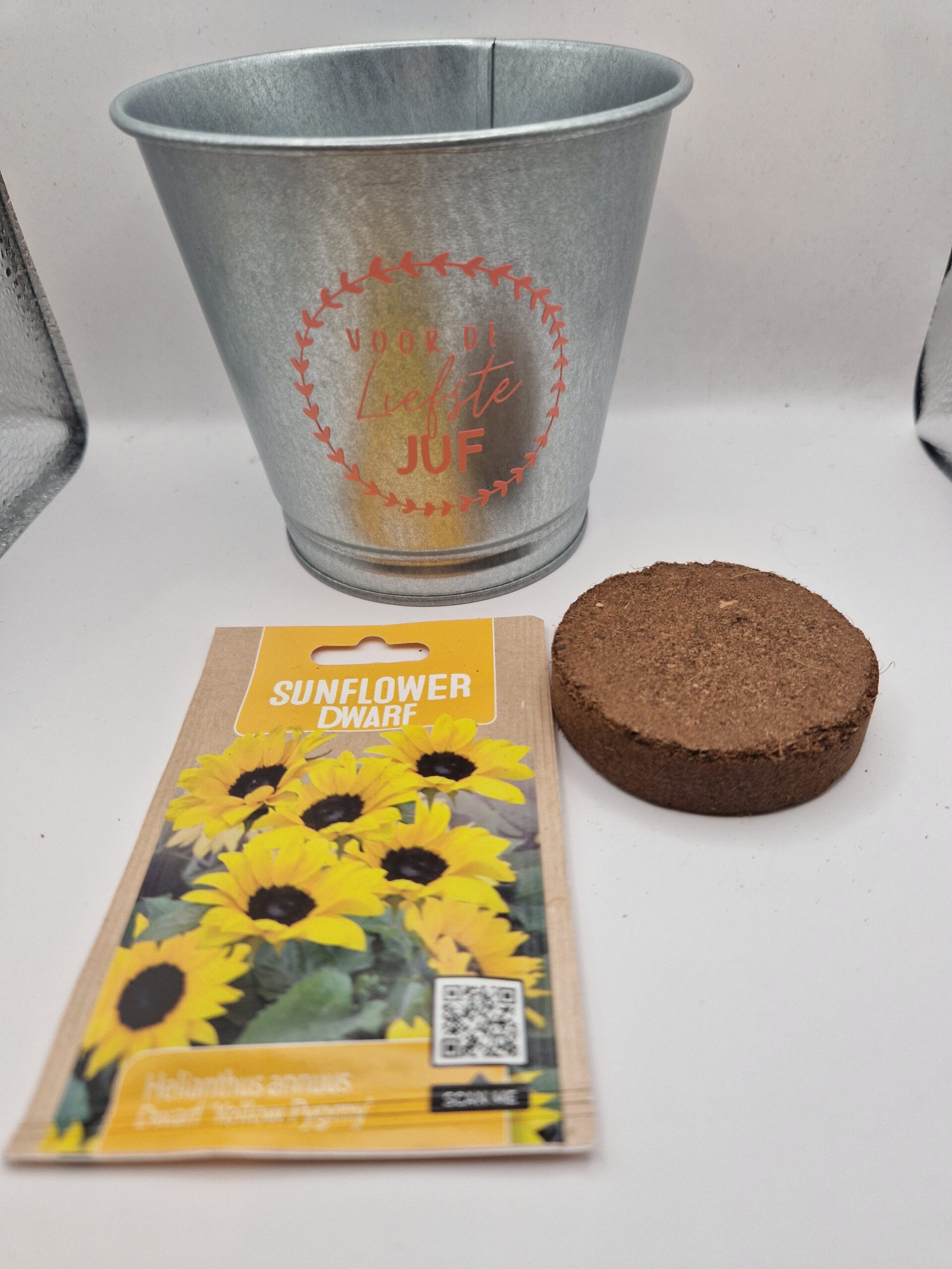 Bloempotje met bloemzaadjes (zonnebloem)