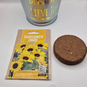 Bloempotje met bloemzaadjes (vergeet me nietjes)