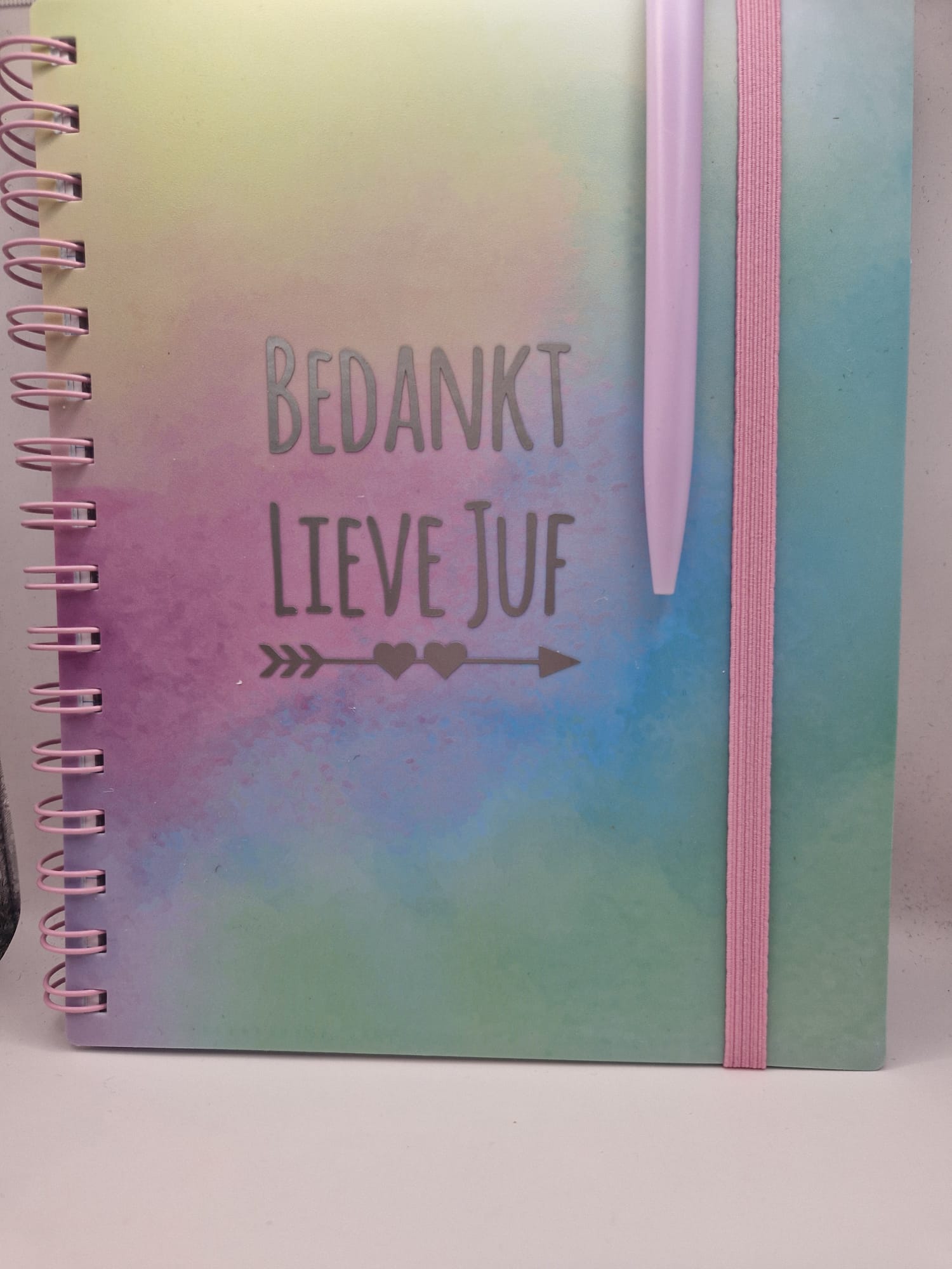 Notitieboekje a5 voor juf met pen